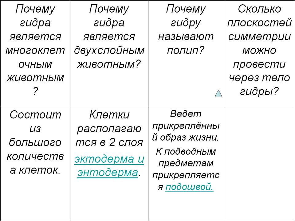 Пользователь не найден кракен даркнет