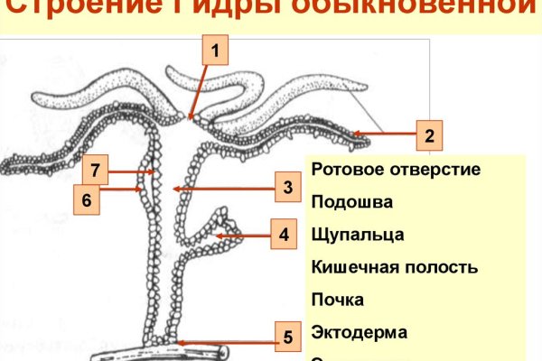 Кракен ссылка trikky