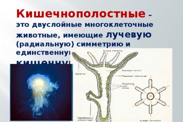 Kraken ссылка на сайт актуальная