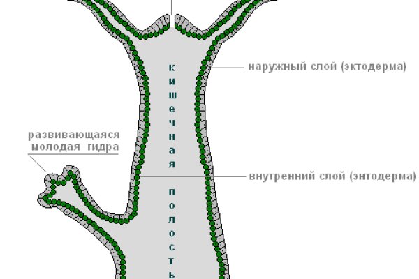 Кракен тор ссылка онлайн