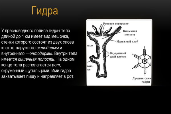 Как зайти на кракен через браузер