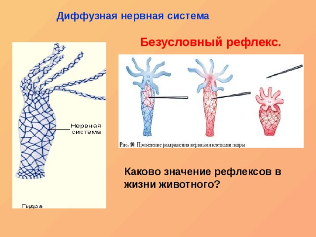 Кракен маркетплейс про