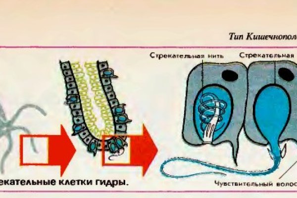 Kraken tor onion зеркало