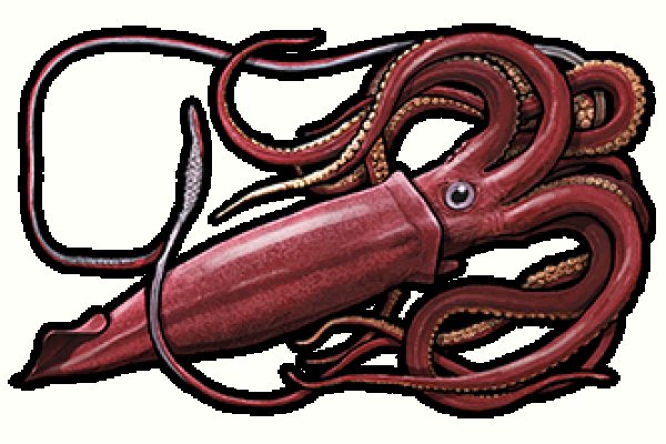 Что такое kraken в россии