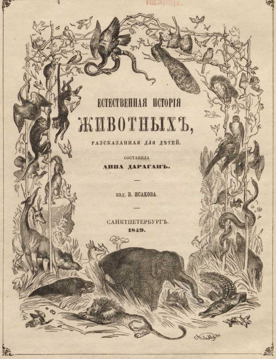 Кракен упал
